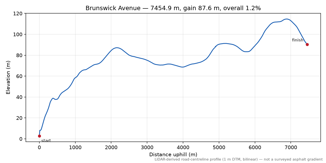 Brunswick Avenue elevation profile