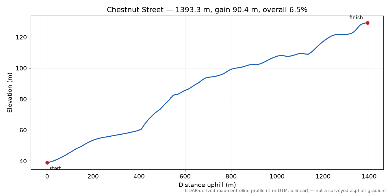 Chestnut Street elevation profile